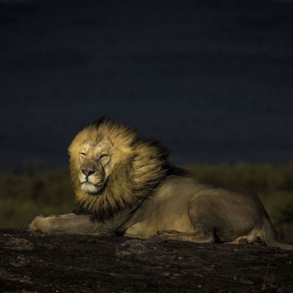 Meet your Posher, Chris